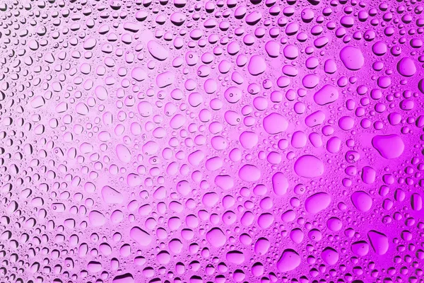 Primer Plano Las Gotas Agua Sobre Fondo Gradiente Blanco Rosa — Foto de Stock
