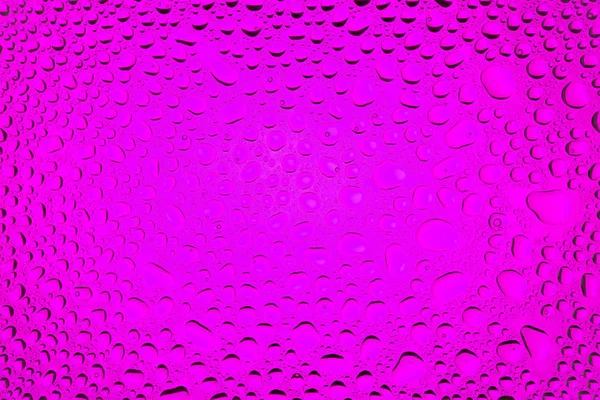 水の滴 白地と水滴で覆われて ピンクのグラデーション背景に近い水分の凝縮 — ストック写真
