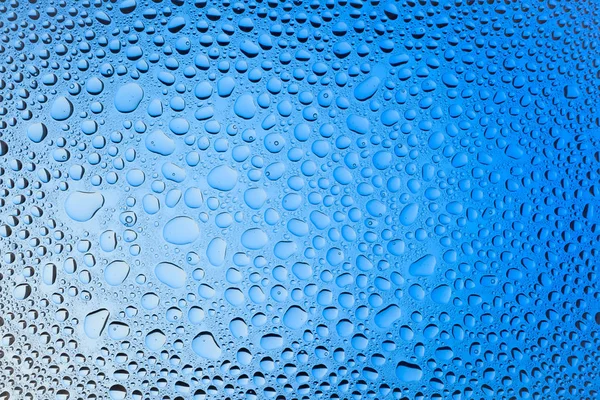 Yakın up bir su damlaları beyaz ve mavi degrade arka plan ile kaplı, damla su - yoğunlaşma.