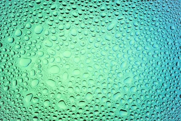 Yakın up bir su damlaları beyaz ve mavi degrade arka plan ile kaplı, damla su - yoğunlaşma.