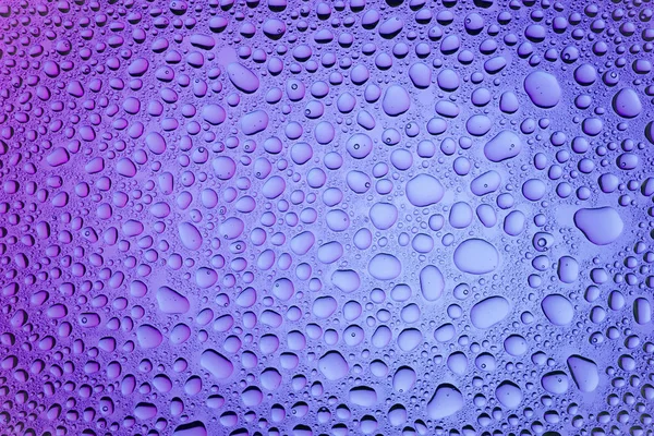 Close Water Drops Purple Gradient Background Covered Drops Water Condensation — Stock Photo, Image