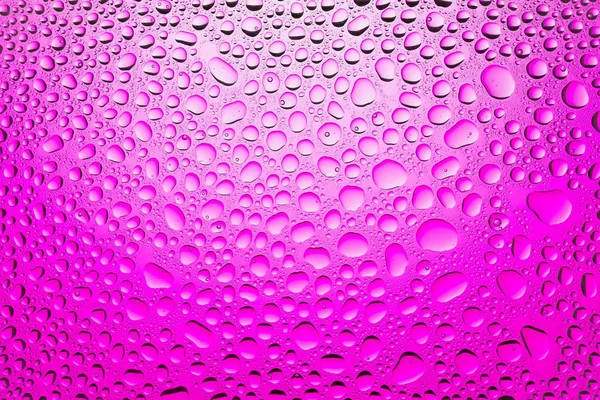 Close Water Drops White Pink Gradient Background Covered Drops Water — Stock Photo, Image