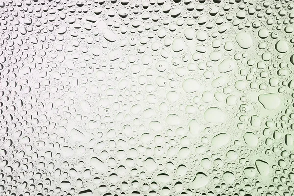 Detailní Záběr Vody Klesne Bílém Přechodu Pozadí Pokryté Kapkami Vody — Stock fotografie