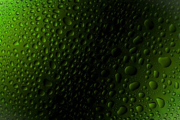 Close up of a water drops on a black and green  gradient background, covered with drops of water -condensation.