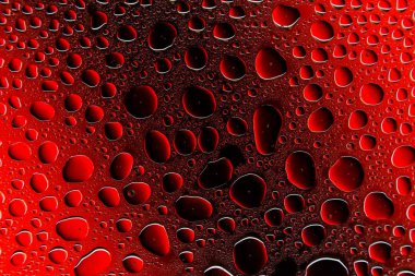 Yakın yukarı bir su damlaları bir kırmızı ve siyah degrade arka plan ile kaplı, damla su - yoğunlaşma.