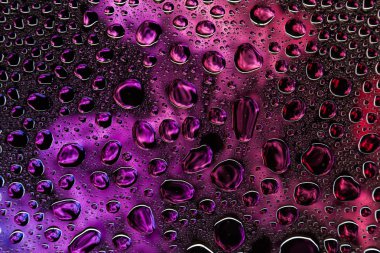 Bir damla su bir mor, pembe ve mavi siyah zemin, degrade arka plan üzerinde yoğunlaşma üzerinde duman karşı Close-up