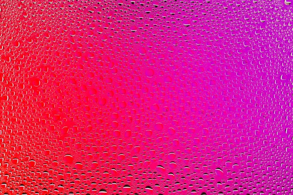 Yakın up bir su damlaları bir pink ve kaplı kırmızı degrade arka plan damla su - yoğunlaşma.