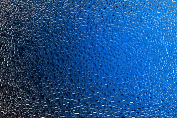 Close up of a water drops on a black  and blue gradient background, covered with drops of water -condensation.