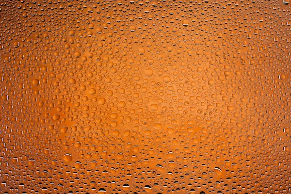 Close Water Drops Orange Gradient Background Covered Drops Water Condensation — Stock Photo, Image