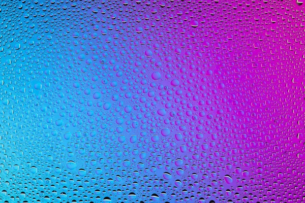 在紫色和蓝色梯度背景上的水滴关闭 覆盖着水滴凝结 — 图库照片