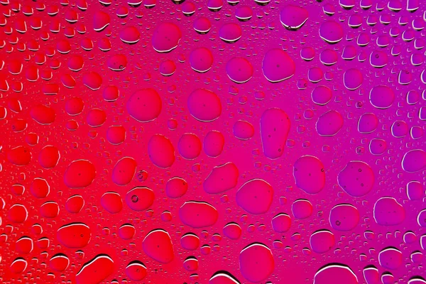 Acercamiento Las Gotas Agua Sobre Fondo Rosado Rojo Degradado Cubierto — Foto de Stock