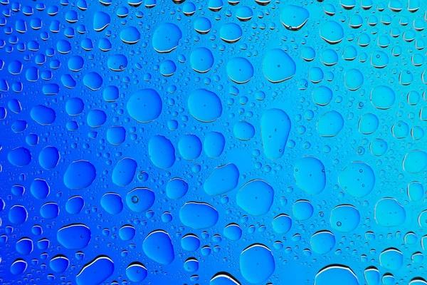 Primer Plano Las Gotas Agua Sobre Fondo Gradiente Blanco Azul — Foto de Stock