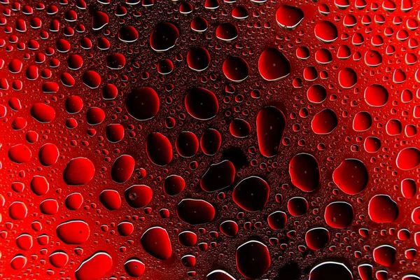 Primer Plano Las Gotas Agua Sobre Fondo Gradiente Rojo Negro —  Fotos de Stock