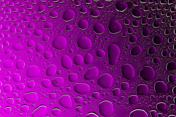 Primer Plano Las Gotas Agua Sobre Fondo Degradado Púrpura Rosa — Foto de Stock