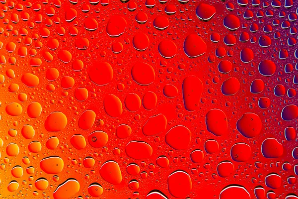 在红色 橙色和紫色梯度背景上的水滴关闭 覆盖着水滴凝结 — 图库照片