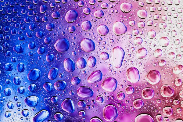 Bir damla su bir mor, pembe ve kırmızı beyaz zemin, degrade arka plan üzerinde yoğunlaşma üzerinde duman karşı Close-up