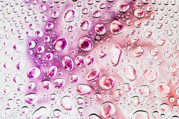 Bir damla su bir mor, pembe ve turuncu beyaz zemin, degrade arka plan üzerinde yoğunlaşma üzerinde duman karşı Close-up