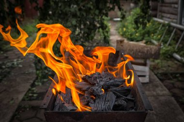 Yakın çekim bir sim ızgara, şiş kebap bir sıcak yaz gününde verme arka planda kızartma kömürün parlak bir ateş yakar