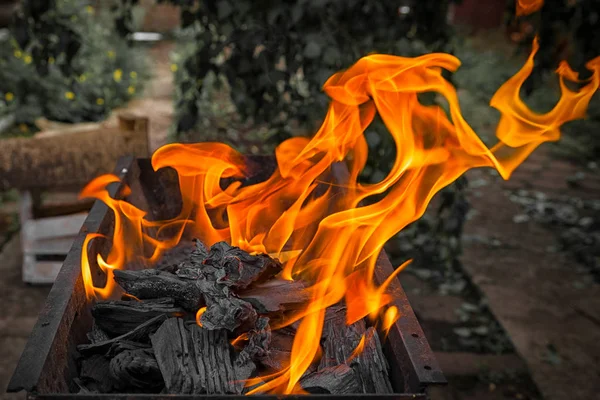 在一个温暖的夏日里 Mettalic 烧烤的特写烧掉了一颗明亮的煤 用来煎羊肉串的烤肉串 — 图库照片