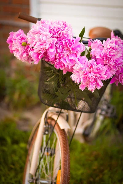 Крупный План Красивого Свежего Букета Розовых Пионов Меттальной Велосипедной Корзине — стоковое фото