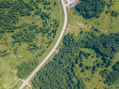 Helikopter dron vurdu. Yol, yeşil çim ile yeşil orman hava fotoğrafçılığı.