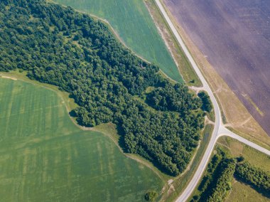 Helikopter dron vurdu. Yol, yeşil çim ile yeşil orman hava fotoğrafçılığı.