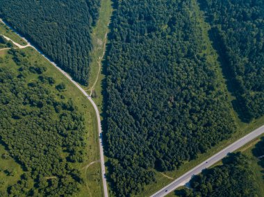 Helikopter dron vurdu. Yol, yeşil çim ile yeşil orman hava fotoğrafçılığı.