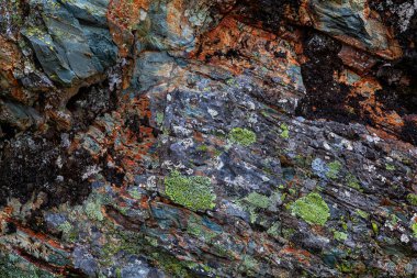 Dağ taş gri taş yakın çekim yosun kaplı. Dağlar cips, çatlaklar, bitki örtüsü ve moss bir desenle kaplanmış