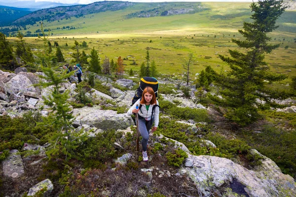Atmospheric moment in mountains. Hiking woman with backpack traveler on top of mountains. Stylish woman hiking, in the background a green forest, field and high mountain