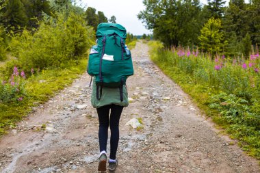 Atmosferik an dağlarda. Sırt çantası gezgin bir ormanda yürüyüş kadınla. Hiking, arka planda yeşil orman, alan ve yüksek dağlar şık kadın. Seyahat yaşam tarzı ve yaşam kavramı arka vie