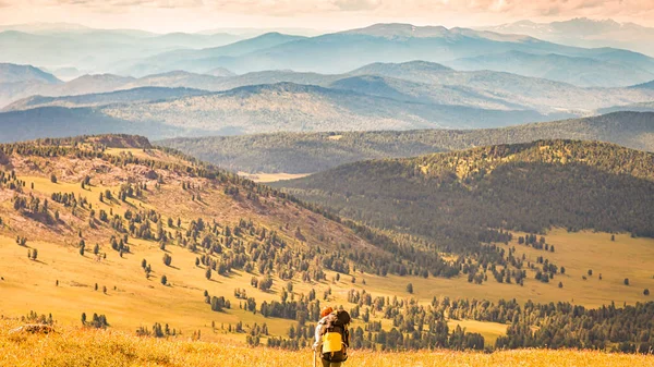 Atmospheric moment in mountains. Hiking woman with backpack traveler on top of mountains. Stylish woman hiking, in the background a green forest, field and high mountains.Travel Lifestyle and survival concept rear vie