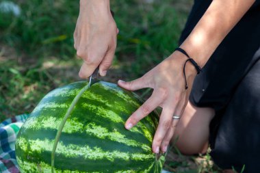 Yakın çekim güzel bir genç kadının büyük bir karpuz bıçakla pikniğe arka planda bir yaz sıcak günde yeşil çim ve bir park keser
