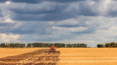 Turuncu bir modern traktör altın alan buğday toprağa bir orman arka planda bir kümülüs bulut gökyüzünde bir yaz gününde pulluklar.