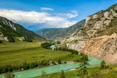 Panoramik dağ nehir kenarında altay, Rusya Federasyonu. Dağ nehir akarsu manzarası