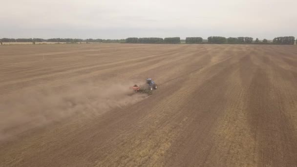 Flygfoto Över Jordbrukstraktor Plantering Korn Land Fältet Odling Fotografering Från — Stockvideo