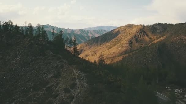 Letecký Pohled Záběry Drone Krajina Pohled Krásné Čerstvé Pole Altajské — Stock video