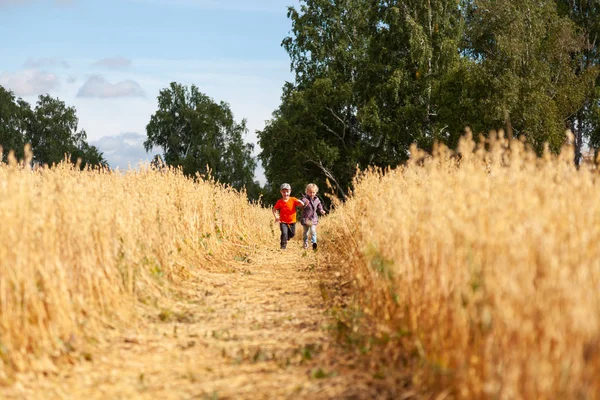 Kleine Jungen Und Mädchen Auf Einem Weizenfeld Sonnenlicht Laufen Und — Stockfoto