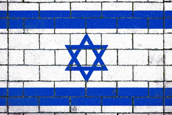 Государственный Флаг Израиля Фоне Каменного Фона Покрытого Мхом — стоковое фото