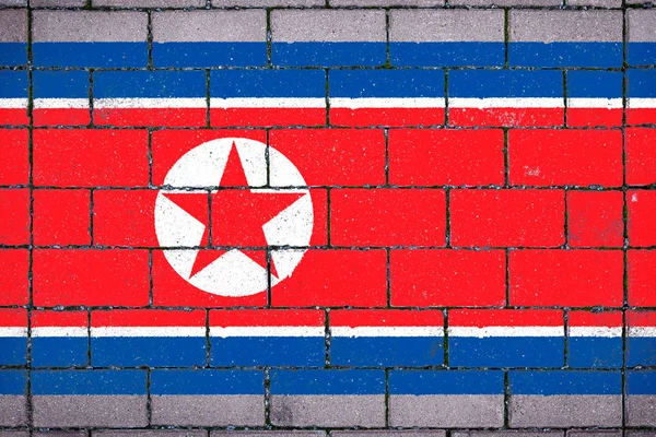 National flag of  North Korea against a background of a stone background covered with moss