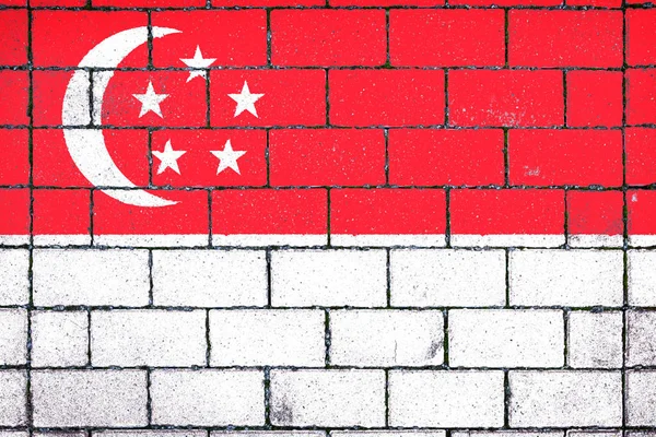 Singapur Ulusal Bayrak — Stok fotoğraf