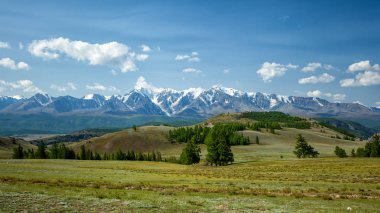 Güzel taze yeşil orman ve altay dağ arka plan manzara görünümünü. Altay dağlarında güzel yeşil orman manzarasına