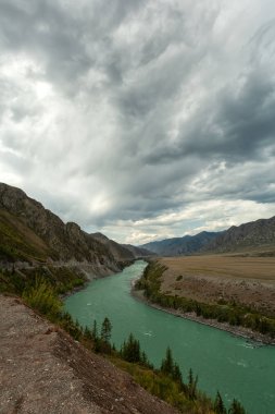 Panoramik dağ nehir ada altay, Rusya ile. Dağ nehir akarsu manzarası