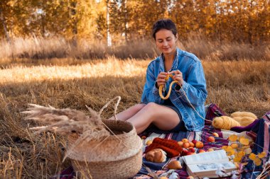 Freelancer iş açık havada: doğa ve iğne ve bir ekose bir piknik sepeti, elma ile oturup doğal yün örgü şapka bir kot ceket ve elbise genç bir kadın seviyor. 