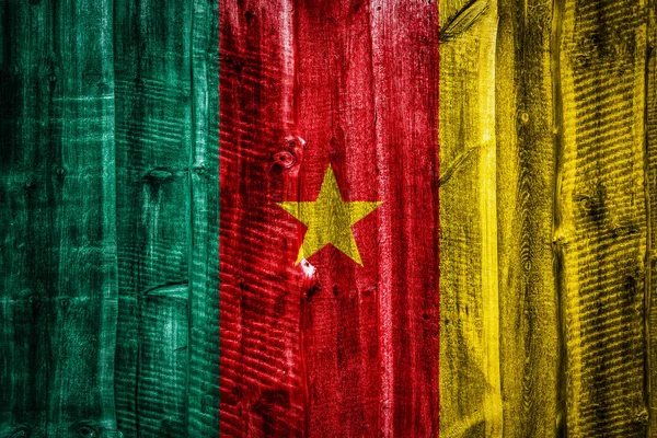 Státní Vlajka Kamerunu Podklad Texturou Dřeva Plot Nebo Zeď — Stock fotografie