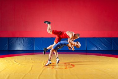 Mavi ve Kırmızı tayt güreş iki güçlü güreşçiler wrestlng ve bir sarı halı spor salonunda güreş güreş suplex yapım vardır. Kıskaç yapan genç erkek.