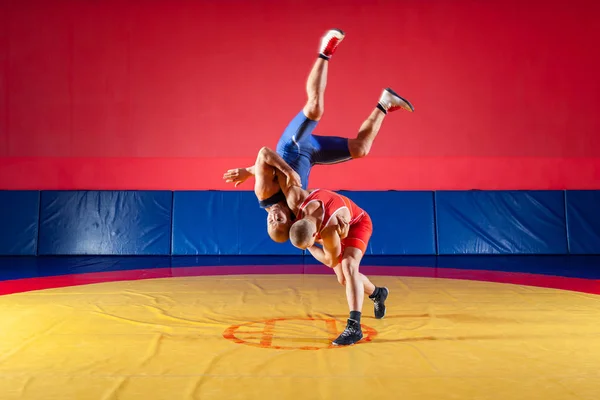 公正なレスリングのコンセプトです 青と赤のタイツをレスリングで つの若い男性が Wrestlng と黄色のカーペットをジムでプロレスのレスリング スープレックス — ストック写真