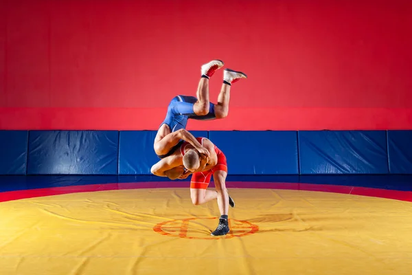 체육관에서 카펫을 레슬링 노란색에 레슬링 빨간색과 파란색 유니폼에 공정한 레슬링의 — 스톡 사진