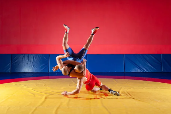 两个强壮的摔跤手在蓝色和红色摔跤紧身裤是 Wrestlng 和做一个 Suplex 摔跤在黄色摔跤地毯在健身房 年轻人做格斗 — 图库照片