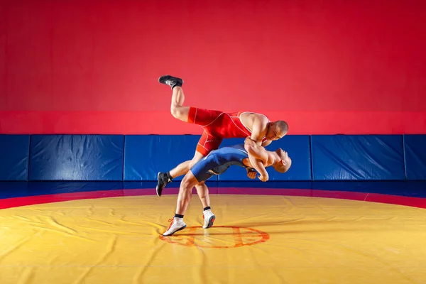 青と赤のタイツをレスリングで つの強い力士は Wrestlng とジムでカーペットをレスリング黄色のレスリング スープレックスを作るします 格闘をやって若い男 — ストック写真