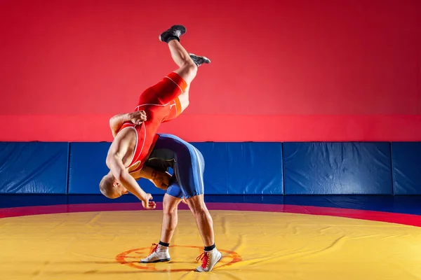两个穿着蓝色和红色摔跤紧身衣的强壮摔跤运动员正在健身房的黄色摔跤地毯上摔跤和做臀部摔跤 做抓斗的年轻人 — 图库照片